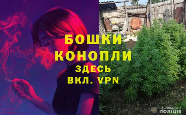 мет Абаза