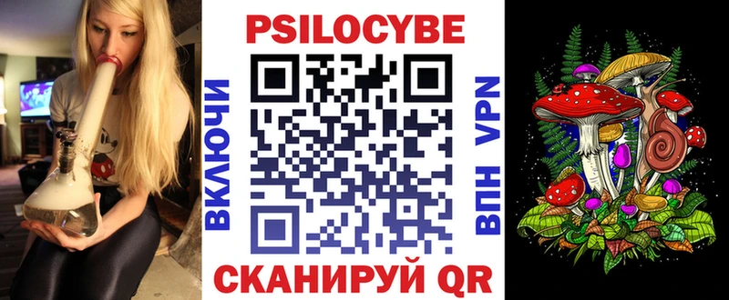 блэк спрут зеркало  Южно-Сухокумск  Галлюциногенные грибы Psilocybine cubensis 
